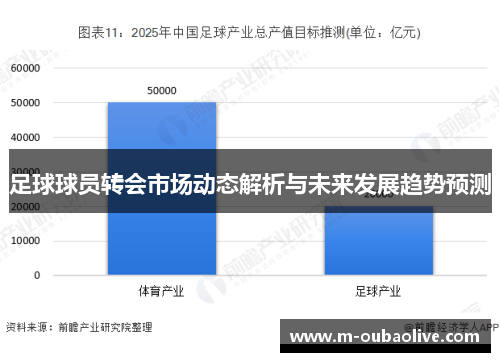 足球球员转会市场动态解析与未来发展趋势预测