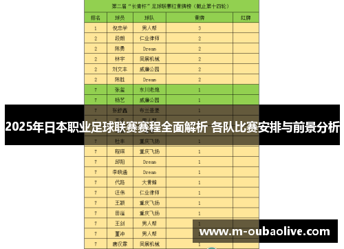2025年日本职业足球联赛赛程全面解析 各队比赛安排与前景分析