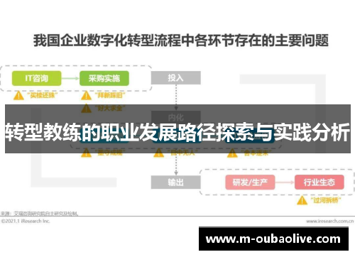 转型教练的职业发展路径探索与实践分析