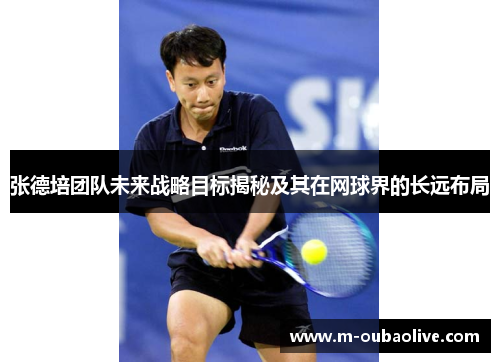 张德培团队未来战略目标揭秘及其在网球界的长远布局