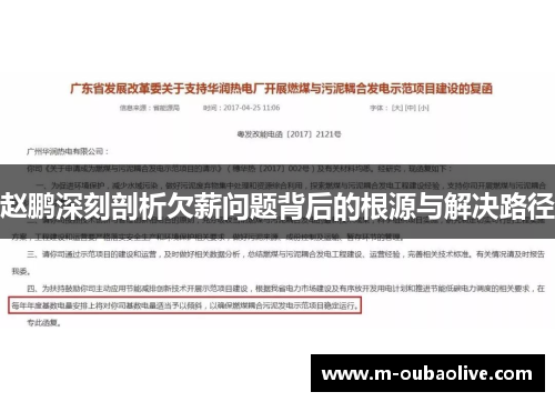 赵鹏深刻剖析欠薪问题背后的根源与解决路径