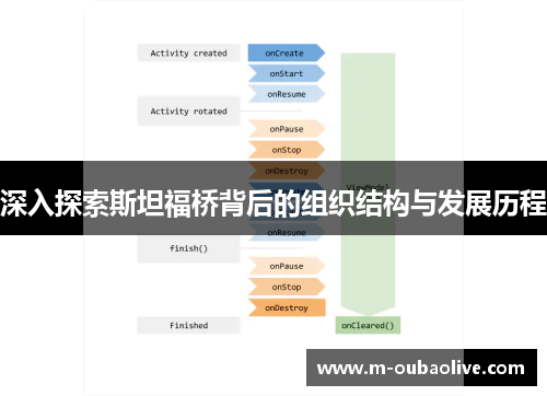 深入探索斯坦福桥背后的组织结构与发展历程