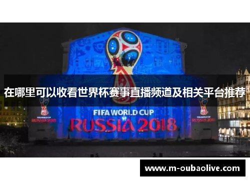 在哪里可以收看世界杯赛事直播频道及相关平台推荐